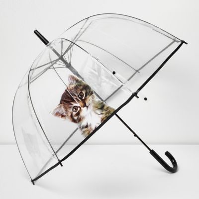 Transparent kitten umbrella